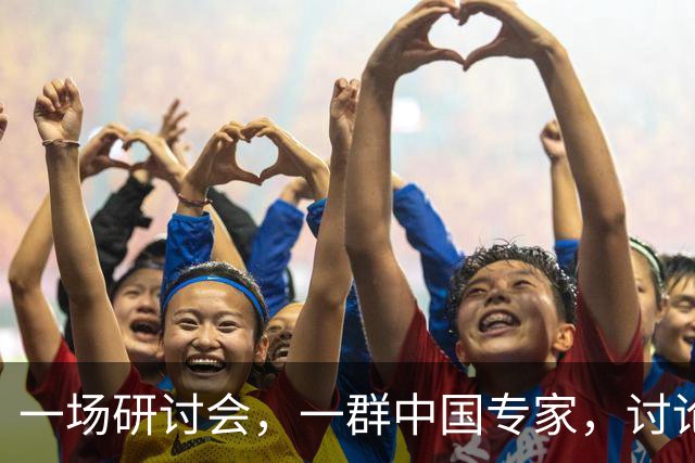 一场研讨会，一群中国专家，讨论的全是中国自己的事，可主办方偏偏定了条死规矩 —— 全程必须说英语